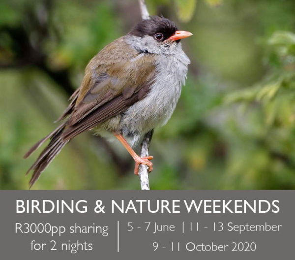 Birding & Nature Weekends