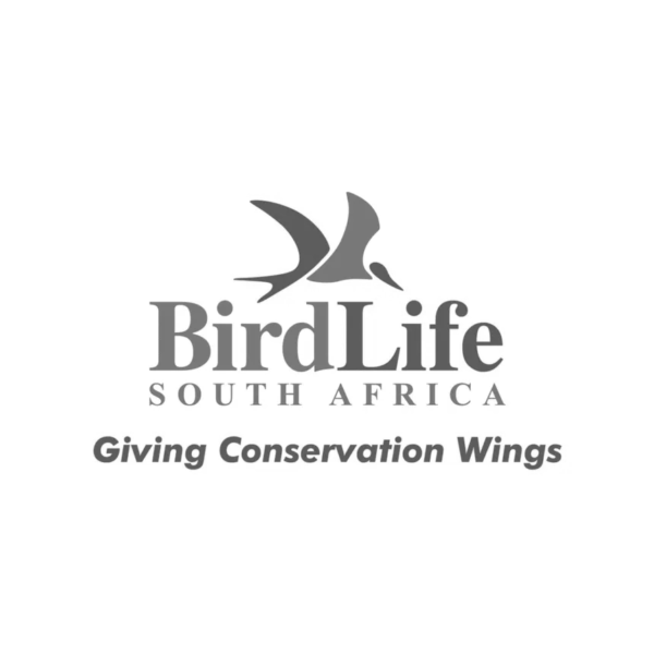 Birdlife South Africa