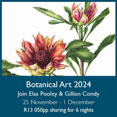 Botanical Art 2024