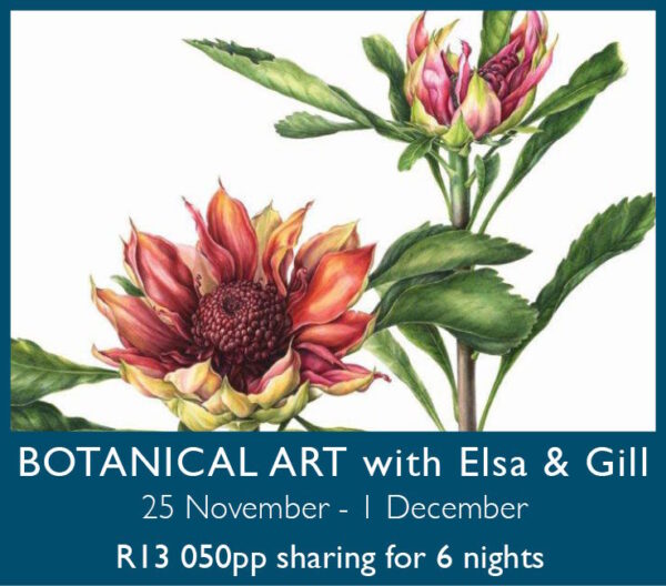Botanical Art