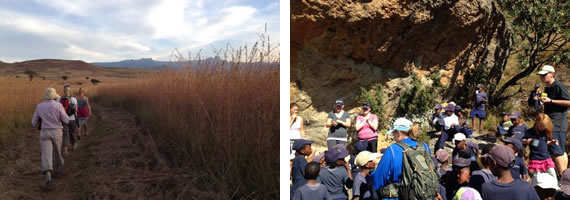 On Tugela flood plain | Lone Rock