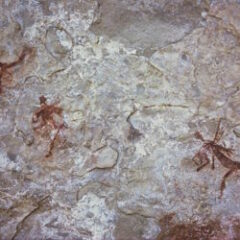 Bushmen Paintings