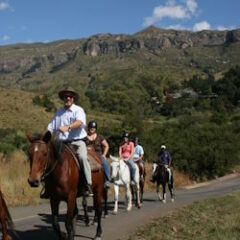 Horse Riding