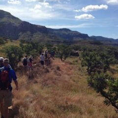Short Hikes