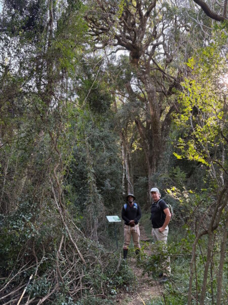 Day 1 - The Cavern to Greenfire Drakensberg Lodge