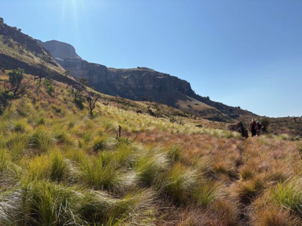Day 1 - The Cavern to Greenfire Drakensberg Lodge