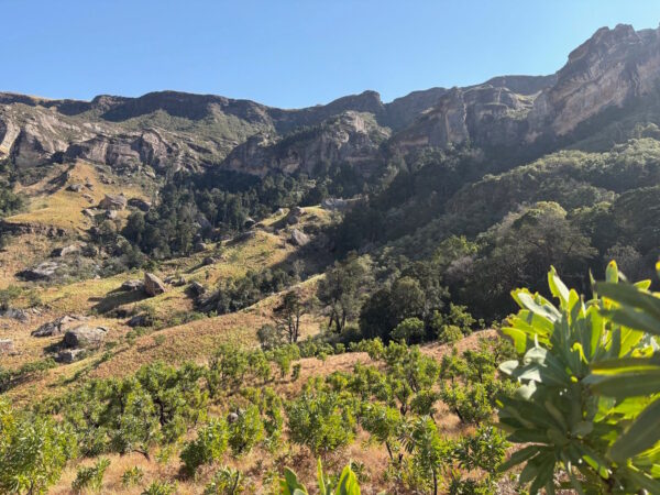 Day 1 - The Cavern to Greenfire Drakensberg Lodge