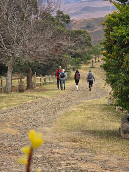 Day 3 - Berghouse to Montusi Mountain Lodge