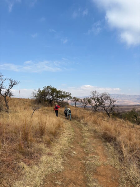 Day 3 - Berghouse to Montusi Mountain Lodge