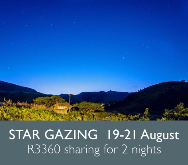 Star Gazing 2022