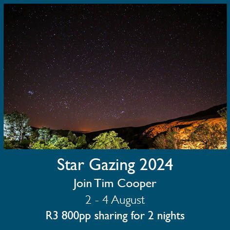 Star Gazing 2024