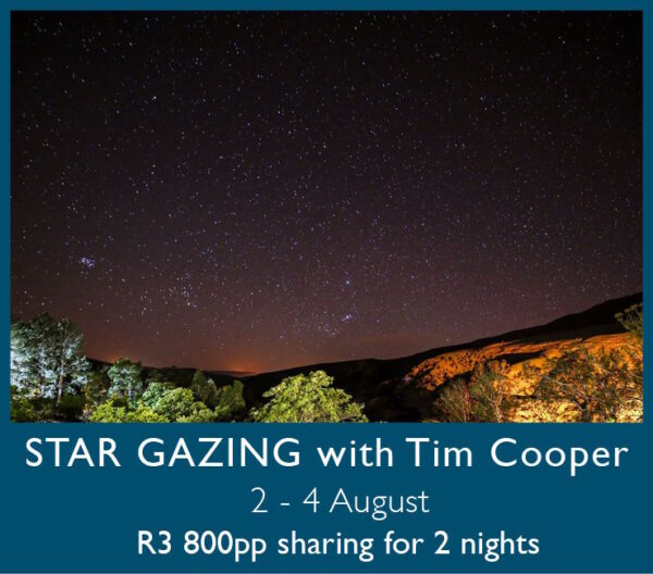 Star Gazing