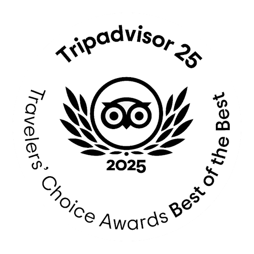 Tripupadvisor 2025