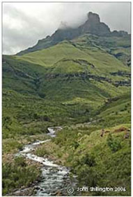 tugela gorge stream