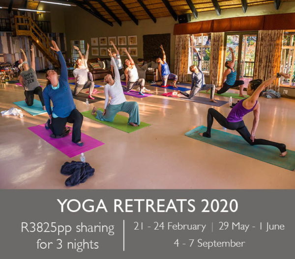 Yog Retreats